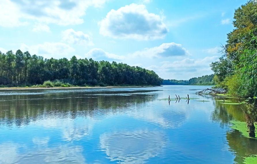 Wide river with green coasts and sky with clouds 